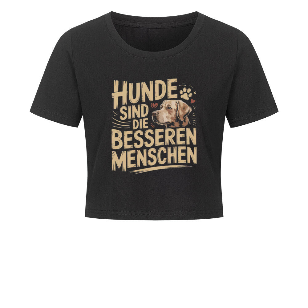 c357d264-b279-455f-a9c9-ce6d6de1ed04